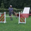 agility 2011-09